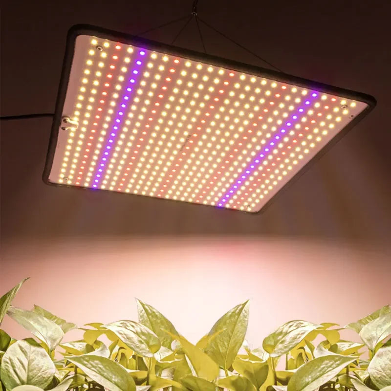 Lâmpada Led Samsung 1200W